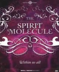 DVD - The Spirit Molecule: Within us all