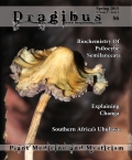 Dragibus Magazine: Volume 3 Issue 2