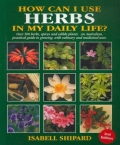 How I Can Use Herbs In My Daily Life?