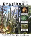 Dragibus Magazine: Volume 1 Issue 3