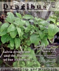 Dragibus Magazine: Volume 1 Issue 4