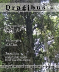 Dragibus Magazine: Volume 2 Issue 3